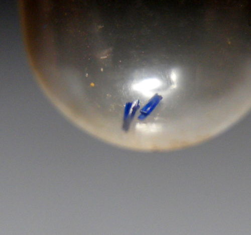 Buttgenbachite from Likasi, Haut-Katanga, DR Congo [db_pics/pics/fm716a.jpg]