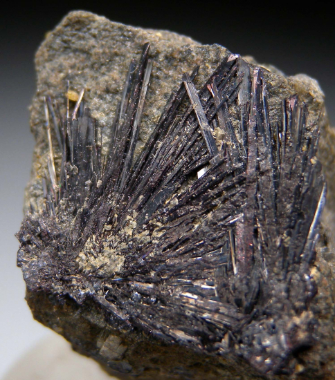 Kermesite from Globe and Phoenix Mine, Que Que, Zimbabwe [db_pics/pics/fm779c.jpg]