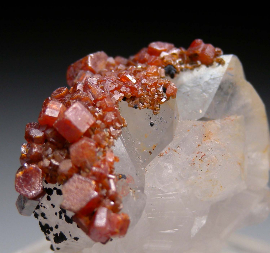 Vanadinite on Quartz from Taouz Mine, Errachidia Province, Draa-Tafilalet Region, Morocco [db_pics/pics/fm782d.jpg]