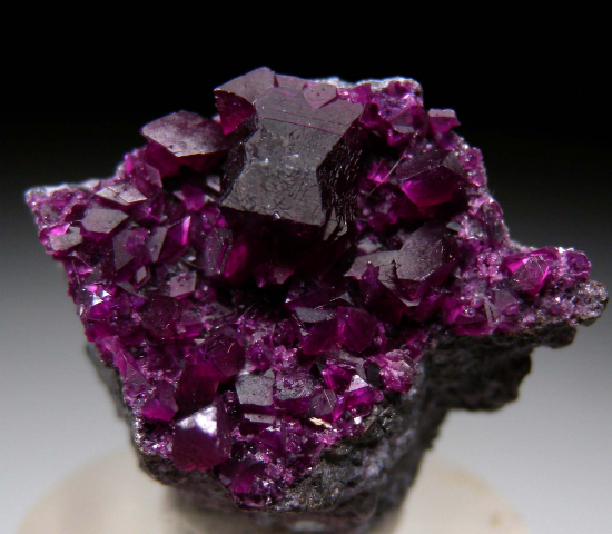 Kammererite from Kop Krom Mine, Kop Daglari, East Anatolia, Turkey [db_pics/pics/fm788a.jpg]