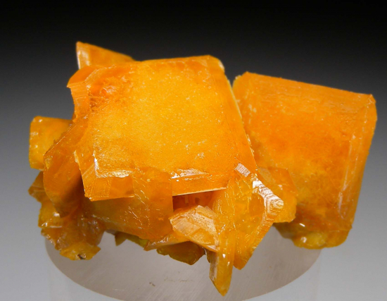 Wulfenite from Touissit Mine, Oujda, Morocco [db_pics/pics/fm795a.jpg]