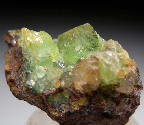 Cuprian Smithsonite from Tsumeb, Namibia [db_pics/pics/fm800b.jpg]