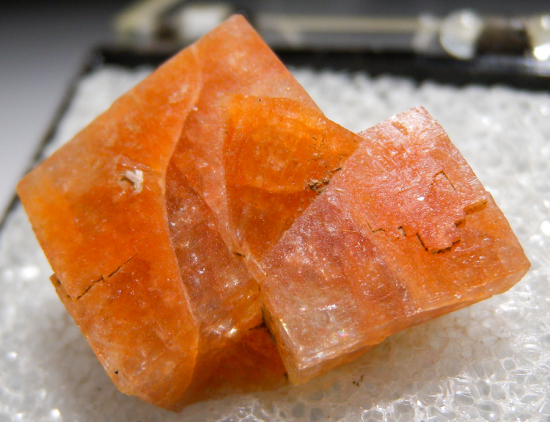 Chabazite from Wasson Bluff, Cumberland Co., Nova Scotia, Canada [db_pics/pics/fm807d.jpg]