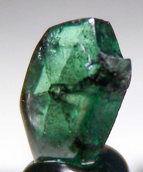 Trapiche Emerald from Muzo Mine, Boyaca, Colombia [db_pics/pics/fm824b.jpg]