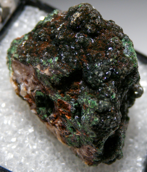 Chalcosiderite from Wheal Phoenix, Linkinhorne, Cornwall, England [db_pics/pics/fm831c.jpg]