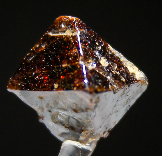 Pyrochlore from Verity Property, Blue River, British Columbia, Canada [db_pics/pics/fm843a.jpg]