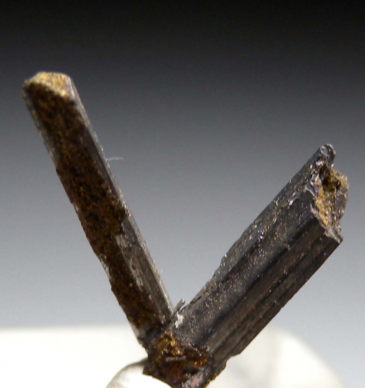 Bismuthinite from Biggenden Mine, Mount Biggenden, Queensland, Australia [db_pics/pics/fm862b.jpg]