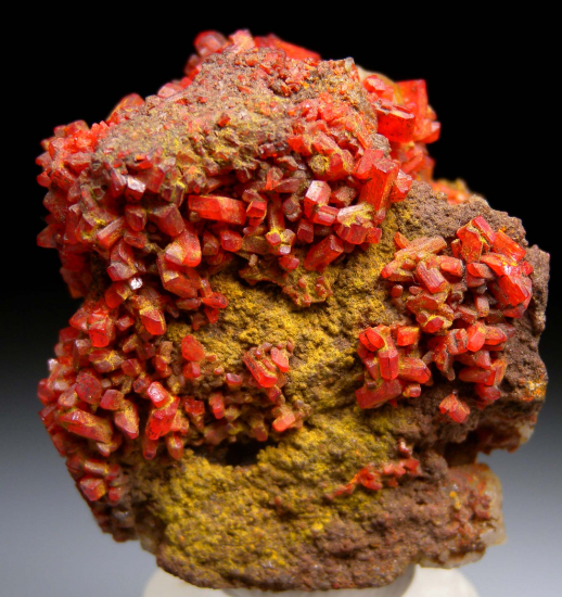 Crocoite from Berezovsk, Ural Mtns., Russia [db_pics/pics/fm869a.jpg]