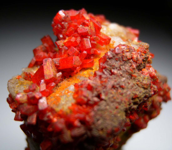Crocoite from Berezovsk, Ural Mtns., Russia [db_pics/pics/fm869c.jpg]