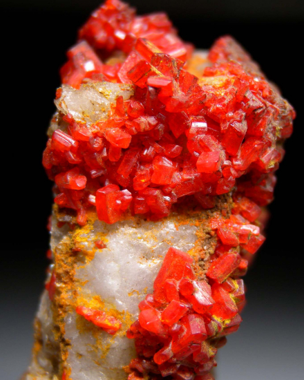 Crocoite from Berezovsk, Ural Mtns., Russia [db_pics/pics/fm869d.jpg]