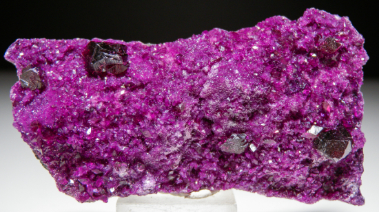 Kammererite from Kop Krom Mine, Kop Daglari, East Anatolia, Turkey [db_pics/pics/fm907a.jpg]