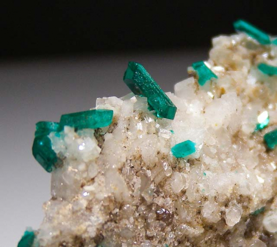 Willemite and Dioptase from Gotala, near Mindouli, Pool Dept., Rep. of Congo [db_pics/pics/fm934c.jpg]