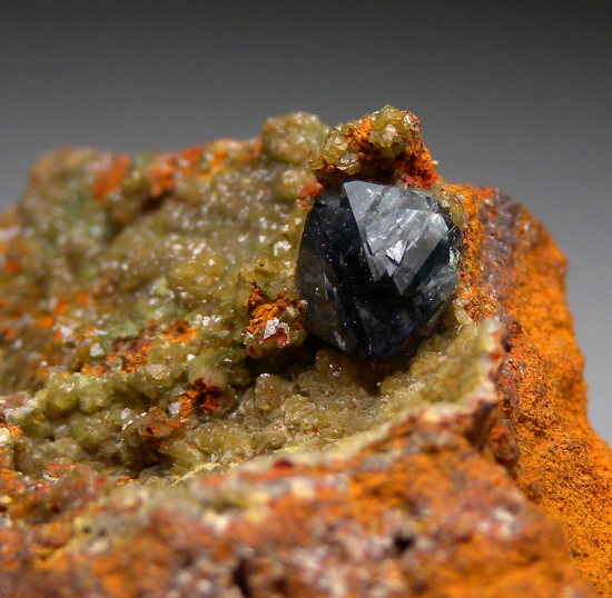 Scorodite from Mina Oujela, Mapimi, Durango, Mexico [db_pics/pics/fm997d.jpg]