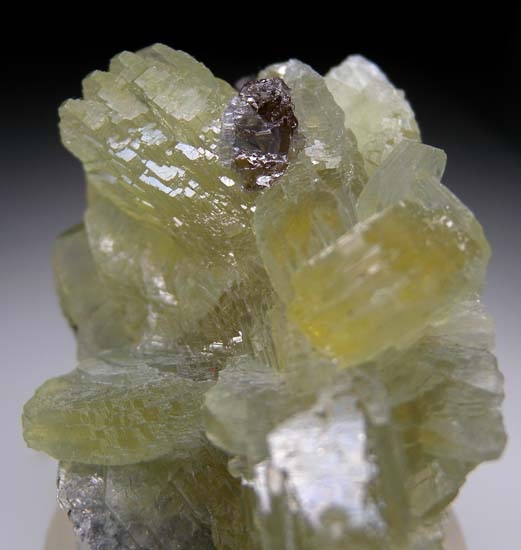 Prehnite from Merelani Hills, Arusha, Tanzania [db_pics/pics/j481f.jpg]