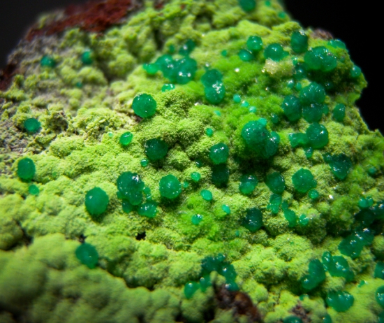 Cuprian Adamite from Mina Oujela, Mapimi, Durango, Mexico [db_pics/pics/lp649d.jpg]