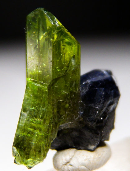 Diopside with Tanzanite, Graphite from Merelani Hills, Arusha, Tanzania [db_pics/pics/lp707b.jpg]