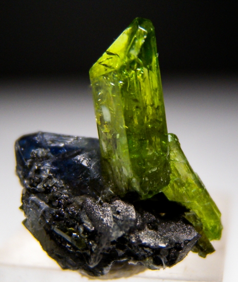 Diopside with Tanzanite, Graphite from Merelani Hills, Arusha, Tanzania [db_pics/pics/lp707d.jpg]