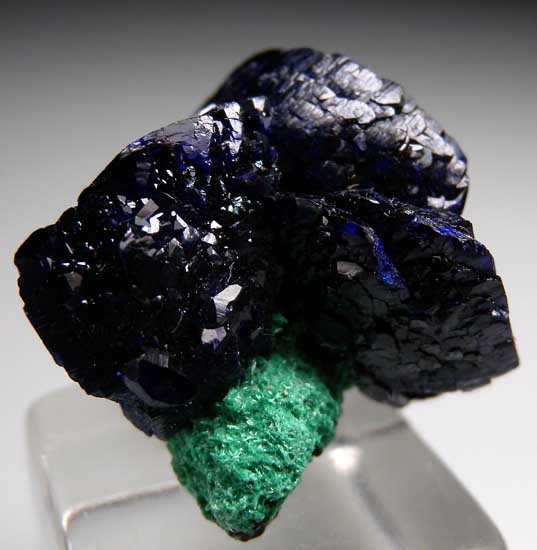 Azurite with Malachite from Milpillas Mine, Cuitaca, Sonora, Mexico [db_pics/pics/m146a.jpg]