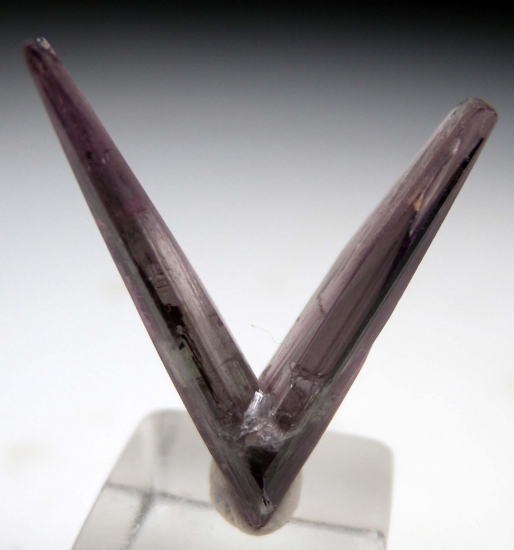 Diaspore from Milas, Mugla Prov., Turkey [db_pics/pics/m650a.jpg]