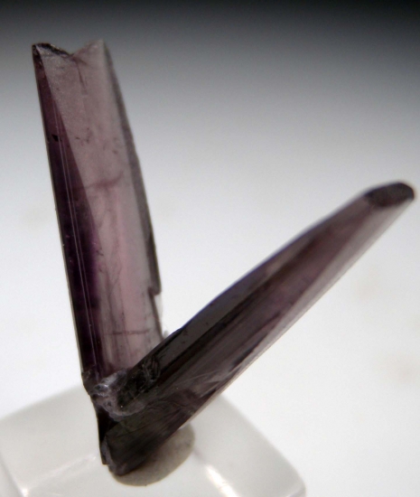 Diaspore from Milas, Mugla Prov., Turkey [db_pics/pics/m650b.jpg]