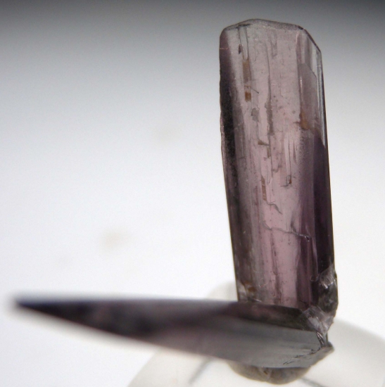 Diaspore from Milas, Mugla Prov., Turkey [db_pics/pics/m650c.jpg]