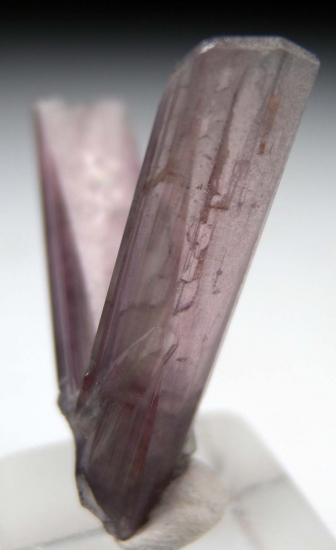 Diaspore from Milas, Mugla Prov., Turkey [db_pics/pics/m650d.jpg]