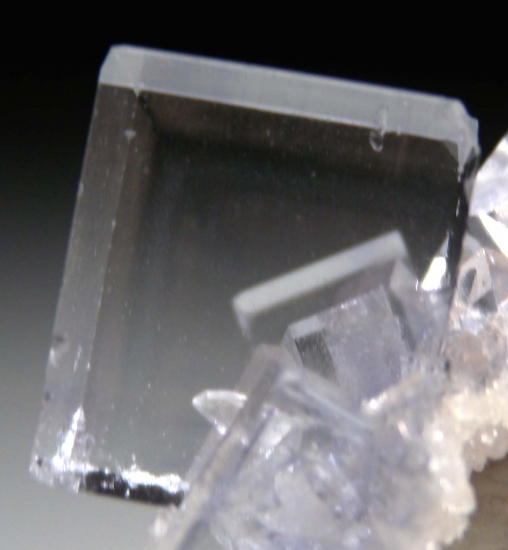 Fluorite from Obdulia Vein, Emilio Mine, Asturias, Spain [db_pics/pics/mk264d.jpg]