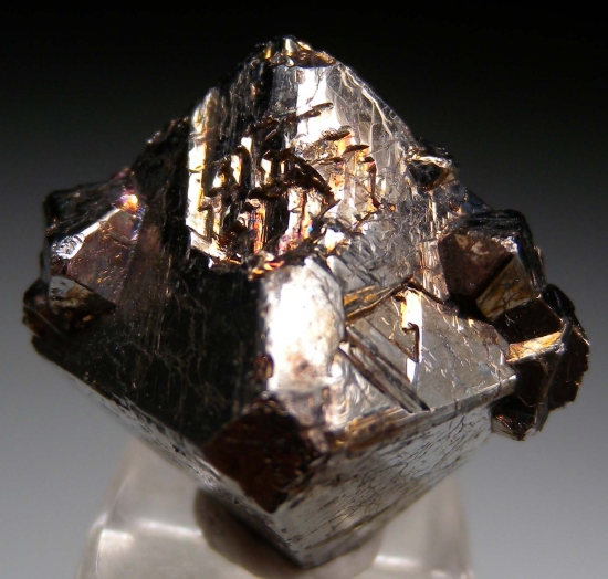 Carrollite from Kamoya South Mine, Kambove, Katanga, DR Congo [db_pics/pics/mk265c.jpg]