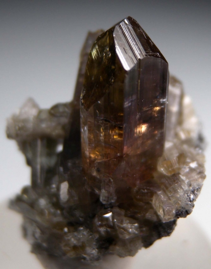 Tanzanite from Merelani Hills, Arusha, Tanzania [db_pics/pics/mk290b.jpg]