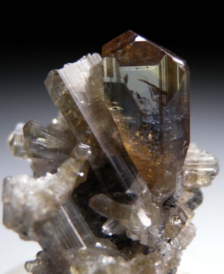 Tanzanite from Merelani Hills, Arusha, Tanzania [db_pics/pics/mk290c.jpg]