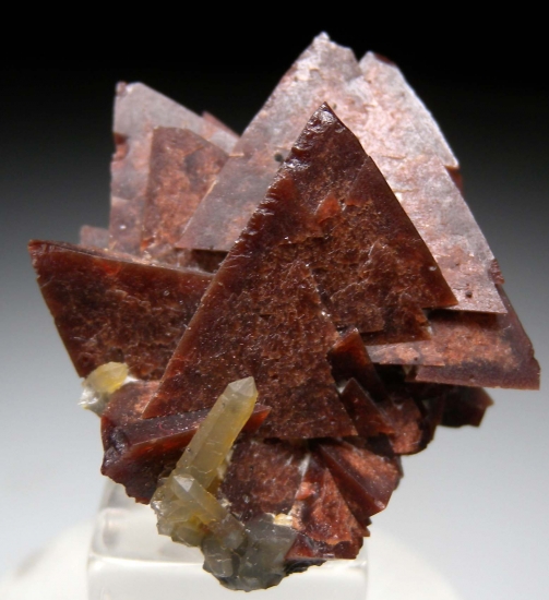 Genthelvite from Huanggang Mine, Chifeng, Inner Mongolia, China [db_pics/pics/mk460a.jpg]