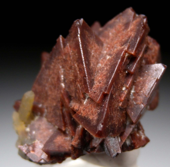 Genthelvite from Huanggang Mine, Chifeng, Inner Mongolia, China [db_pics/pics/mk460c.jpg]