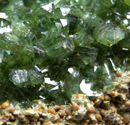 Ludlamite from CabeÃ§a do Cachorro claim, Sao Gabriel da Cachoeira, Amazonas, Brazil [db_pics/pics/mk606c.jpg]