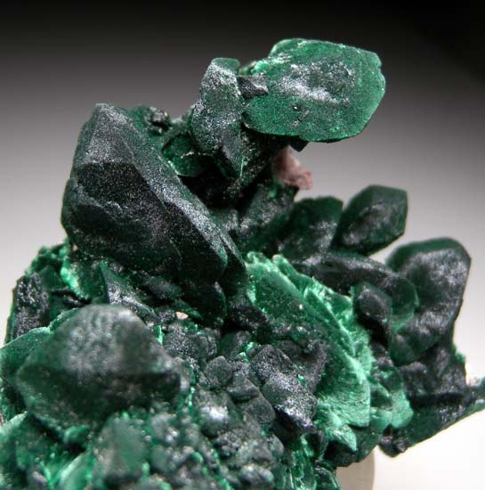 Malachite after Azurite from Milpillas Mine, Cuitaca, Sonora, Mexico [db_pics/pics/mm100d.jpg]