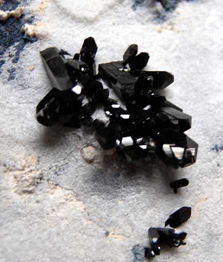 Neptunite from Gem Mine, San Benito Co., California [db_pics/pics/na192b.jpg]