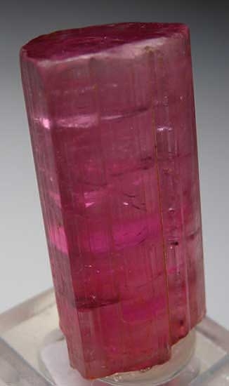 Tourmaline from Himalaya Mine, Mesa Grande, San Diego Co., Califonia [db_pics/pics/na224b.jpg]