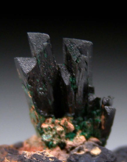 Atacamite from Mount Gunson Copper mines, Pernatty Lagoon, South Australia, Australia [db_pics/pics/p101c.jpg]