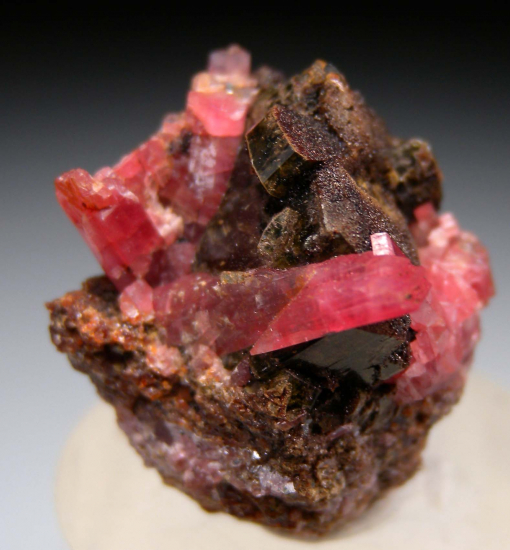 Rhodonite on Hedenbergite from Broken Hill, New South Wales, Australia [db_pics/pics/p102a.jpg]