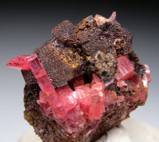 Rhodonite on Hedenbergite from Broken Hill, New South Wales, Australia [db_pics/pics/p102b.jpg]
