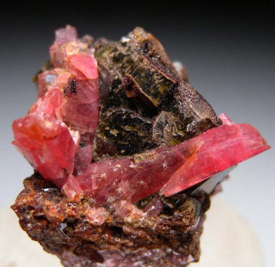 Rhodonite on Hedenbergite from Broken Hill, New South Wales, Australia [db_pics/pics/p102c.jpg]