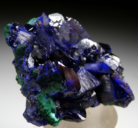 Azurite from Milpillas Mine, Cuitaca, Sonora, Mexico [db_pics/pics/p179b.jpg]