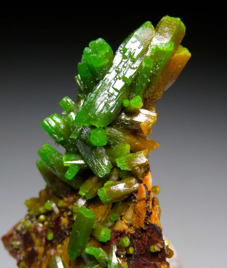 Pyromorphite from Les Farges Mine, Correze, France [db_pics/pics/p181c.jpg]