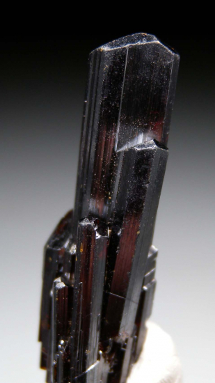 Rutile from Diamantina, Minas Gerais, Brazil [db_pics/pics/p183c.jpg]