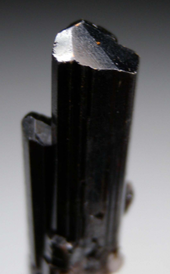 Rutile from Diamantina, Minas Gerais, Brazil [db_pics/pics/p183e.jpg]