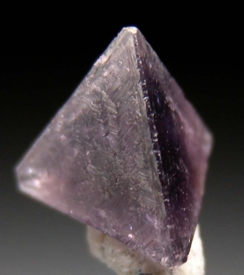 Chambersite from Venice Salt Dome, Louisiana, USA [db_pics/pics/p189b.jpg]