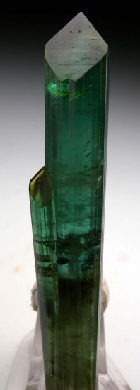 Tourmaline from Rocket Pocket, Pederniera Mine, Sao Jose da Safira, Minas Gerais, Brazil [db_pics/pics/p247c.jpg]