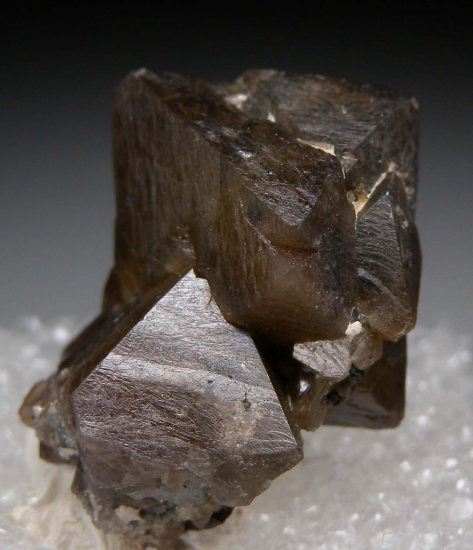 Scheelite from 5th Level, Camp Bird Mine, Ouray Co., Colorado, USA [db_pics/pics/p257a.jpg]