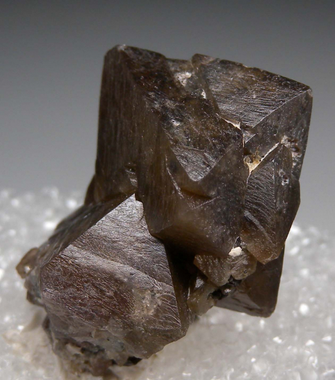 Scheelite from 5th Level, Camp Bird Mine, Ouray Co., Colorado, USA [db_pics/pics/p257d.jpg]