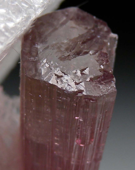 Tourmaline from Himalaya Mine, Mesa Grande, San Diego Co., California, USA [db_pics/pics/p258d.jpg]
