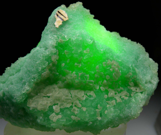 Cuprian Smithsonite from Tsumeb, Namibia [db_pics/pics/p275e.jpg]